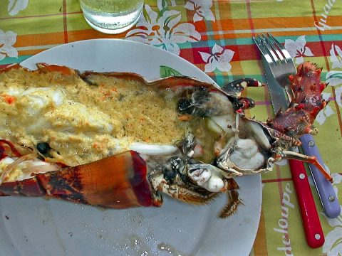 Langoustes grillées
