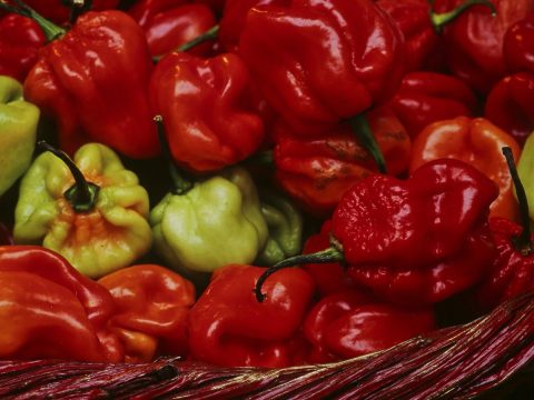 Sauce au piment confit : le condiment créole qui relève tous les plats